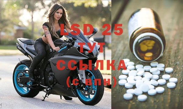крисы Дмитровск