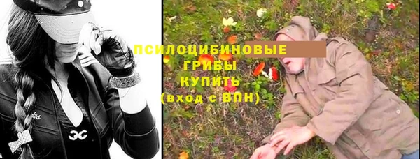 крисы Дмитровск